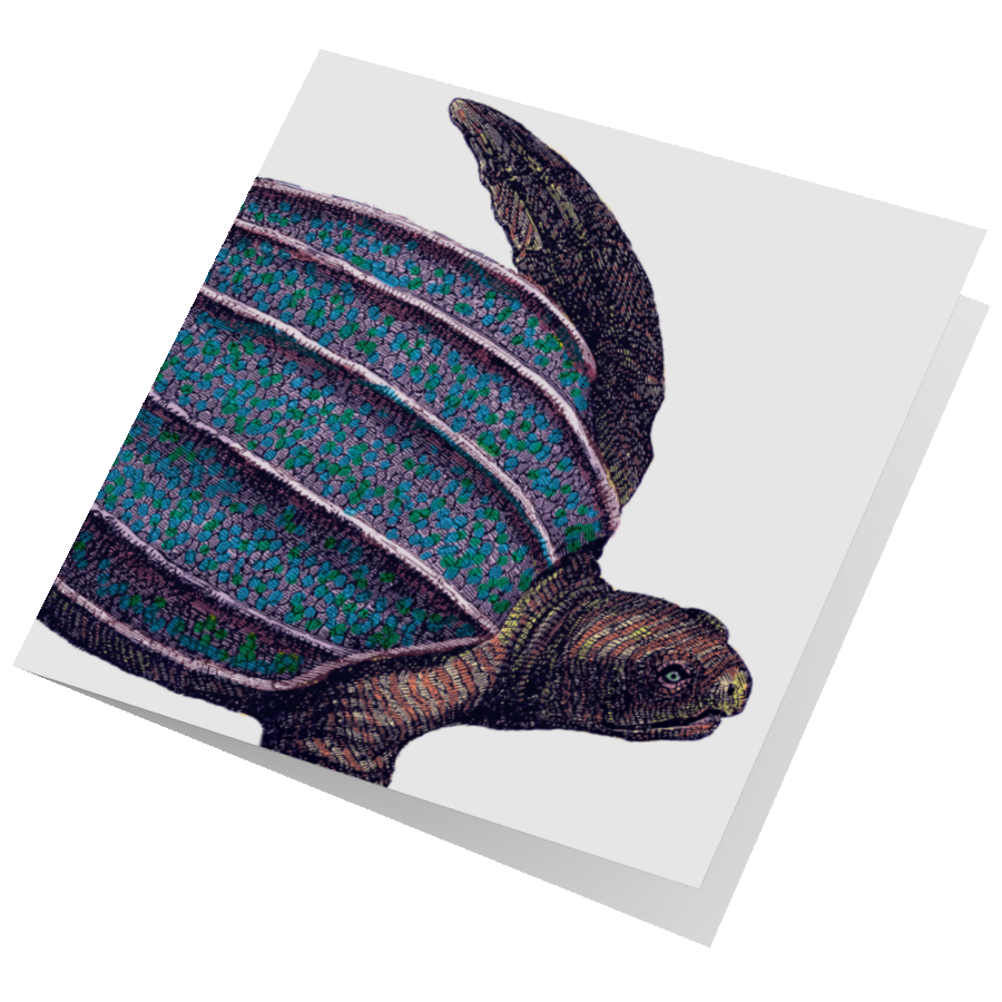 Turtle Card